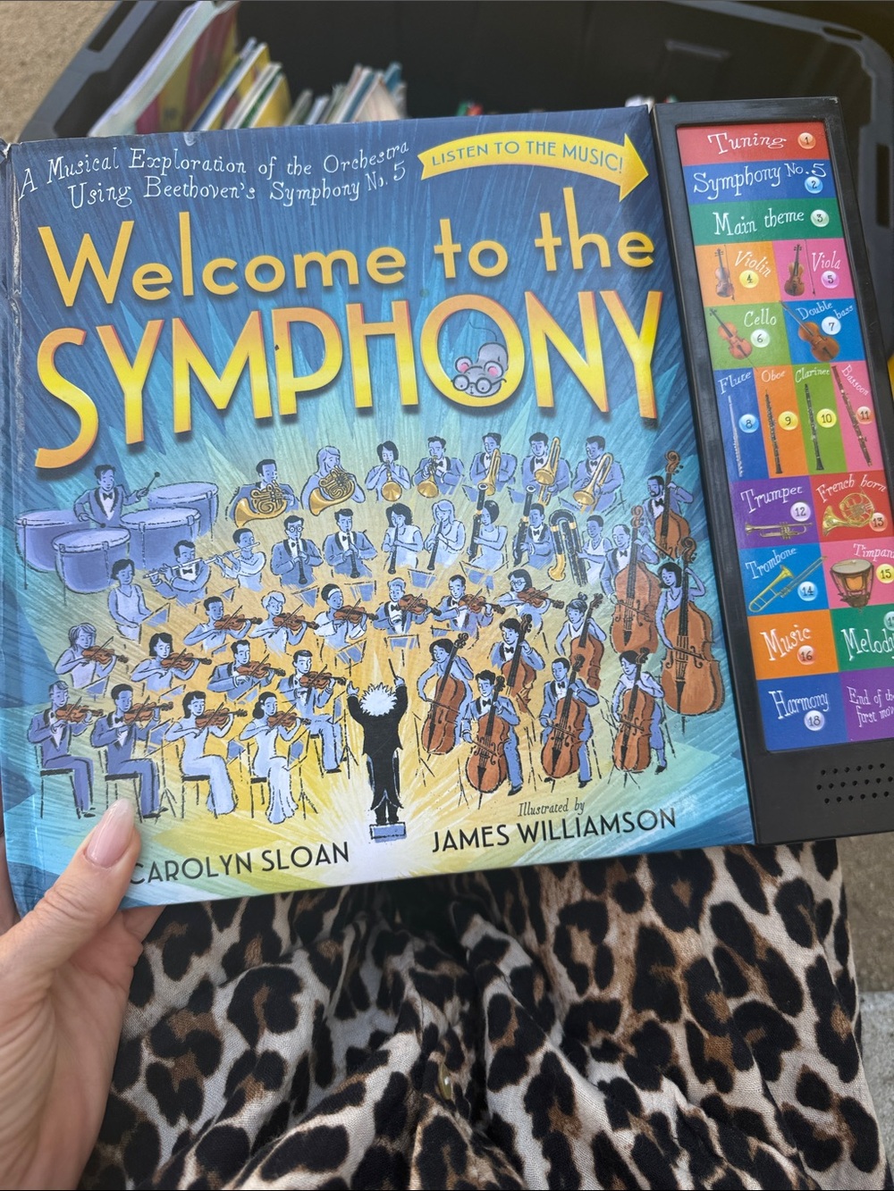 Welcome to the Symphony Sound Book - interactive.